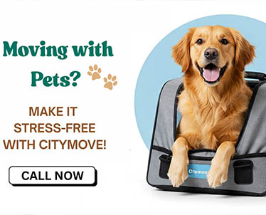 CityMove